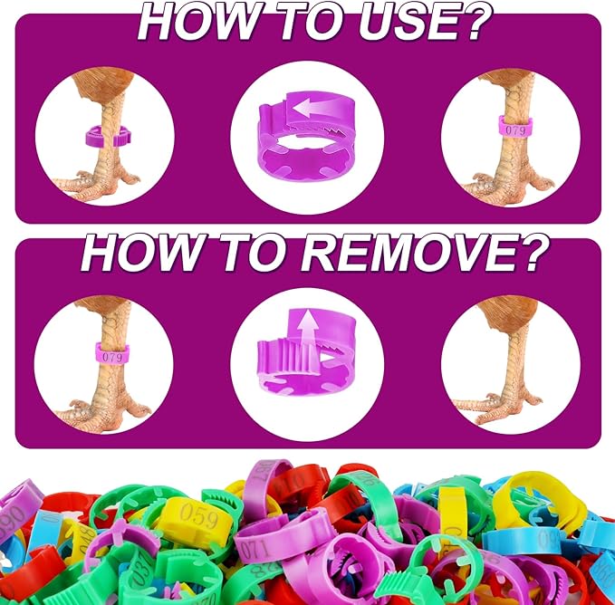 100 Pcs Adjustable Chicken Leg Rings, Multicolor Numbered Chicken Identification Leg Bands, Durable Poultry Leg Bands for Chickens Turkey Goose Ducks