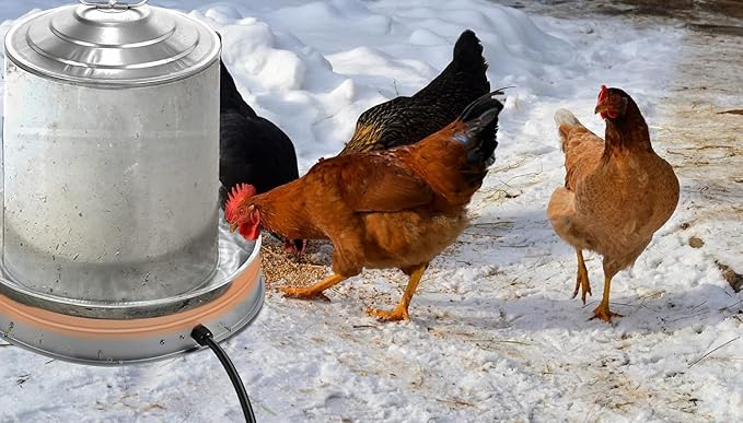 Poultry Chicken Water Heater: Chicken Water Heater Base for Winter, for Plastic/Metal Poultry Watere Under 6 Gallons, Heated Waterer for Chickens 125W