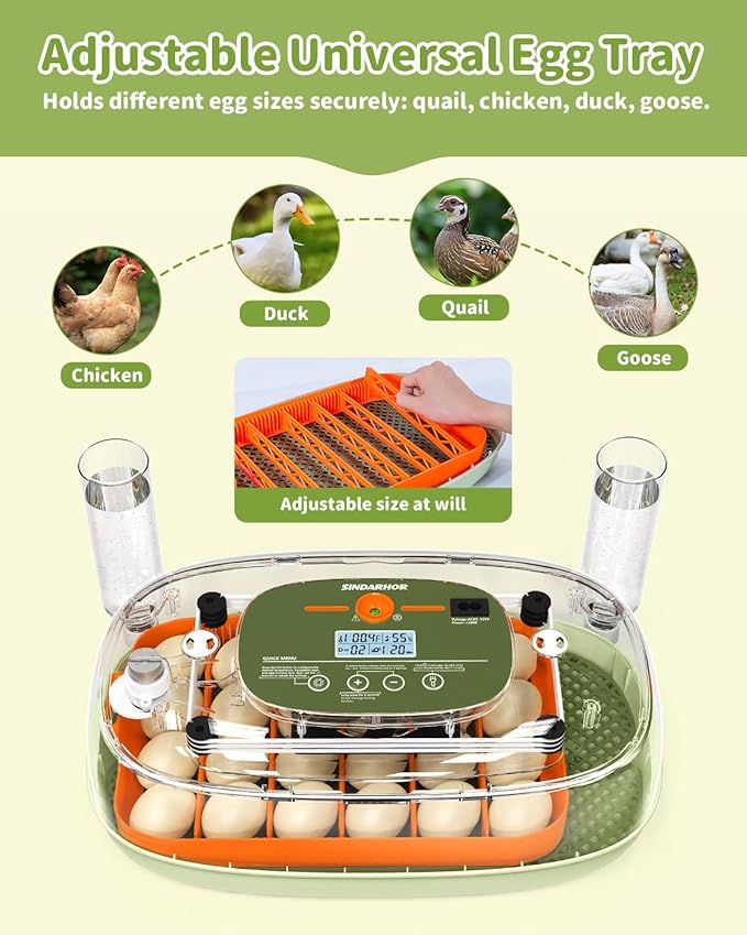 Egg Incubator for 24 Chicken Eggs with Automatic Turner, Digital Temperature Control & Humidity Display, Candler, Poultry Hatcher for Chicken, Duck, Quail, Birds (Green)