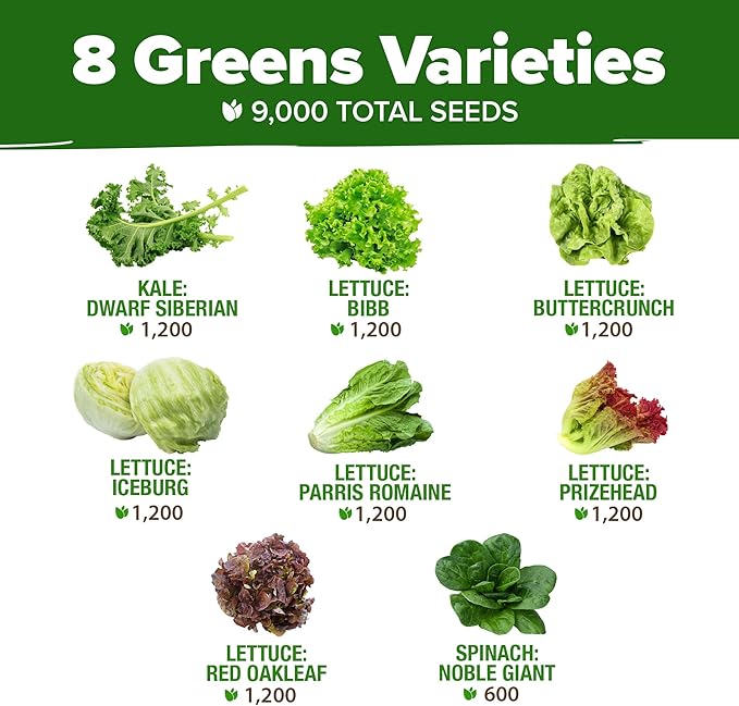 HOME GROWN Lettuce Seeds for Planting - 8 Varieties Non-GMO Heirloom Salad Greens Seeds - 9000+ USA-Sourced Vegetable Seeds for Planting Outdoors, Indoors, Hydroponic Garden