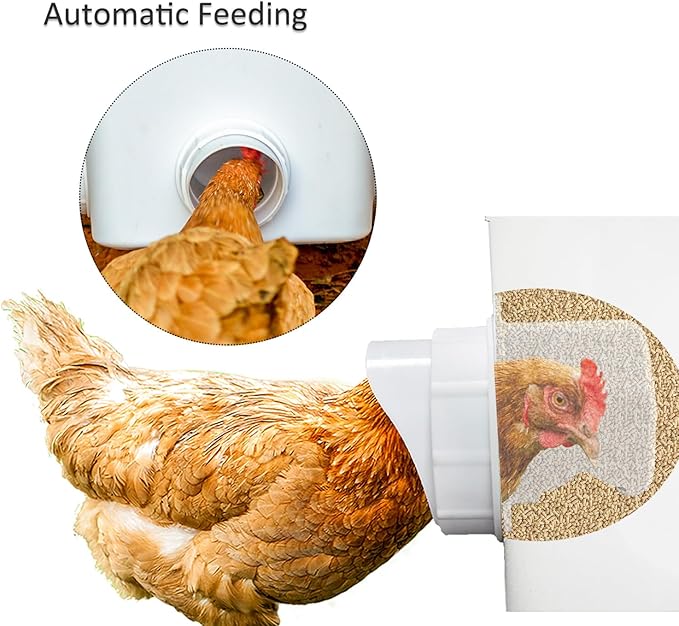 Automatic Chicken Feeder and Waterer Set Hanging Chicken Feeder No Waste Poultry Feeder 3 Gallon Water Feeder
