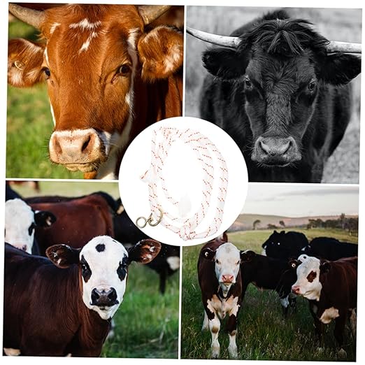 Gatuida Professional Cattle Halter Rope Bridle for Cattle Show Supplies Adjustable