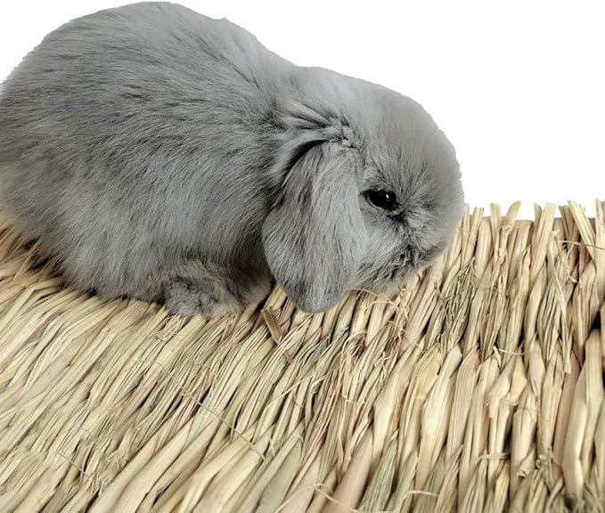Hamiledyi 15 Pack Woven Bed Mat for Rabbits - Grass Mat & Bunny Bedding Nest - Natural Chew Toy Bed for Guinea Pig Chinchilla Squirrel Hamster Cat Dog and Small Animal