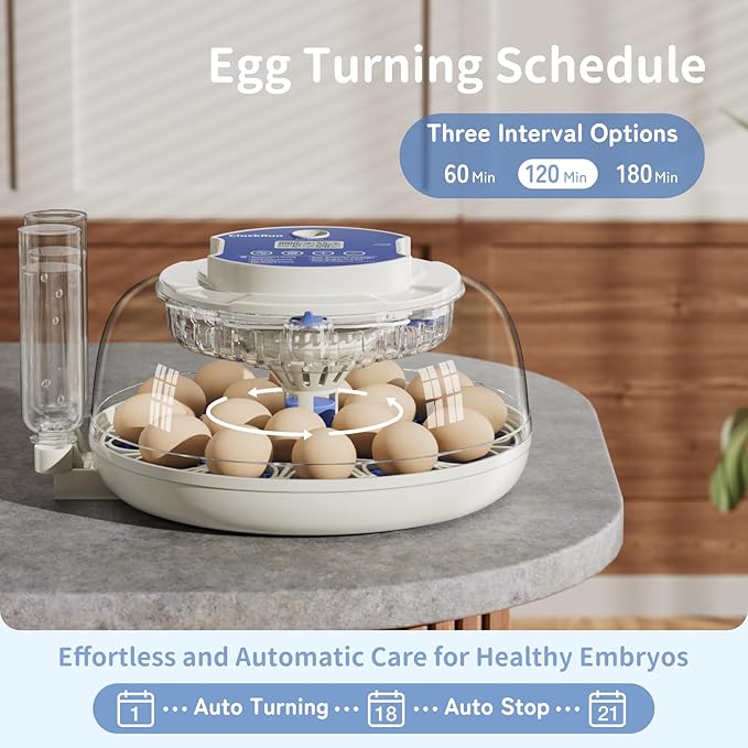 18 Egg Incubator, Hatch Day and Humidity Display, Automatic Turning and Stop, 2 Size Egg Trays, Candling Light, Automatic Water Refill, Air Vent, Hatching Chicken Quail Duck Turkey Goose Birds