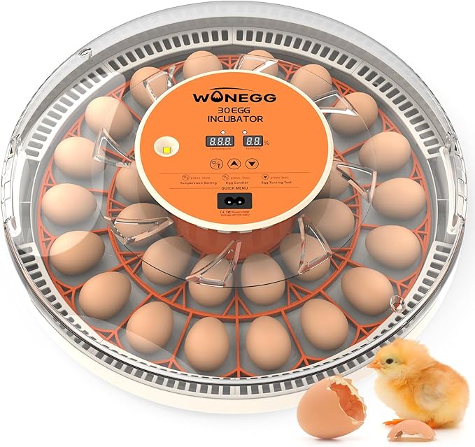 30 Egg Incubators for Hatching Eggs with Automatic Egg Turner, Auto Temperature Control, LED Candling, Humidity Monitor, 360° Viewing for Chicken Quail Parrot Birds
