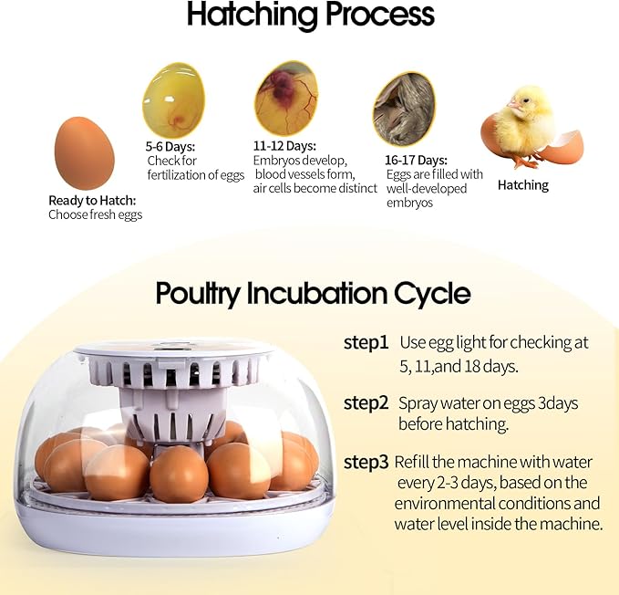 12 Egg Digital Incubator Automatic Turner, Humidity Control & LED Candler for Hatching Chicken, Duck, Quail & More with Auto Water Refill (12 Egg-White)