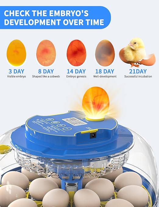 18-Egg 360° Panoramic Egg Incubator with Automatic Egg Turning and Humidity Control- Perfect for Hatching Chickens, Ducks, Quail & Other Birds (Blue)