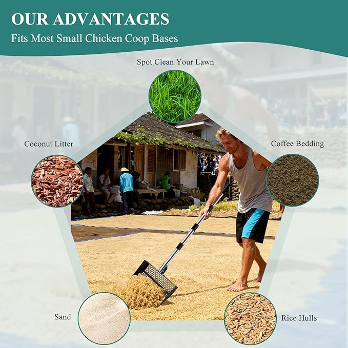 Chicken Poop Scooper and Rake 2-in-1 12” Wide Metal Coop Scoop for Sand Sifting Shovel with 22" to 62” Adjustable Stainless Steel Handle Cleaning Tools for Chicken Coops & Farm Animals Scoop