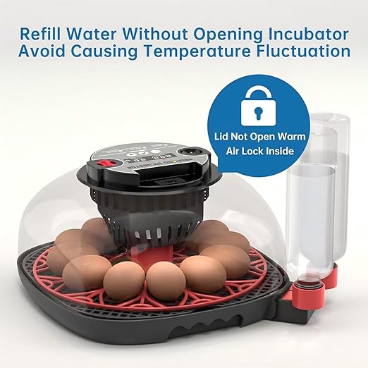 12-24 Egg Incubator with Humidity Display, Egg Candler, Automatic Egg Turner, for Hatching Chickens Duck Quail Parrot