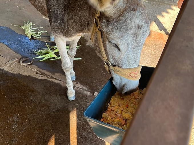 Large Feed Trough and Goat Feeder - 2 Pack Hanging Feeder with Clips, Waterer Bucket, Fence Feed Trough, Goat Supplies, 10 Quart