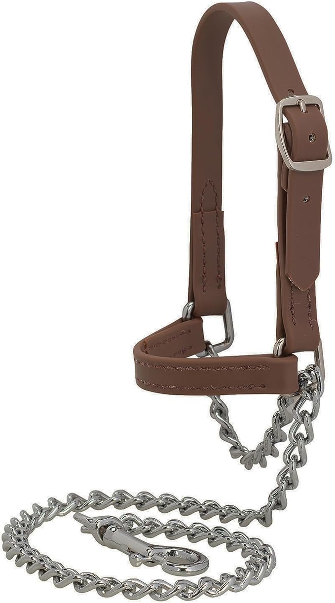 Weaver Leather Livestock Brahma Webb Goat Halter, Brown, Small