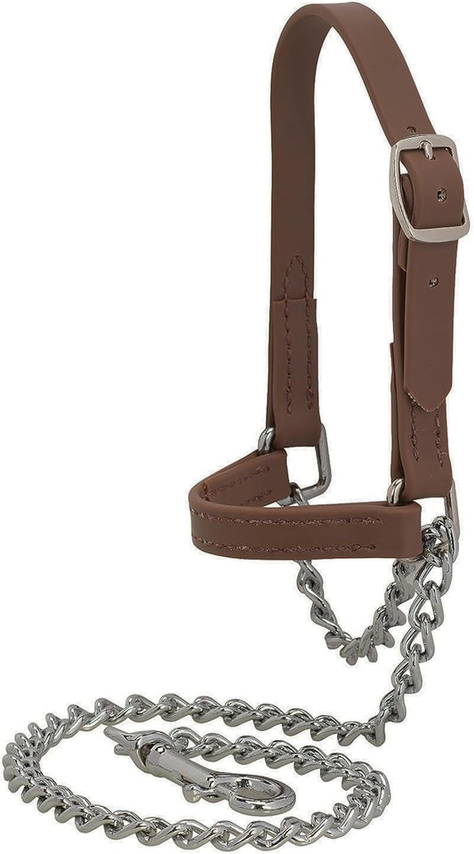Weaver Leather Livestock Brahma Webb Goat Halter, Brown, Small
