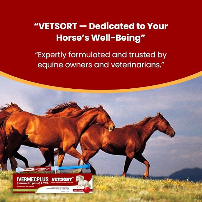 Horse Gel Paste 1.87% – 6 - Pack, 6.08g Each, Accurate Feeding for Horses up to 1,250 lbs, Boosts Growth & Energy