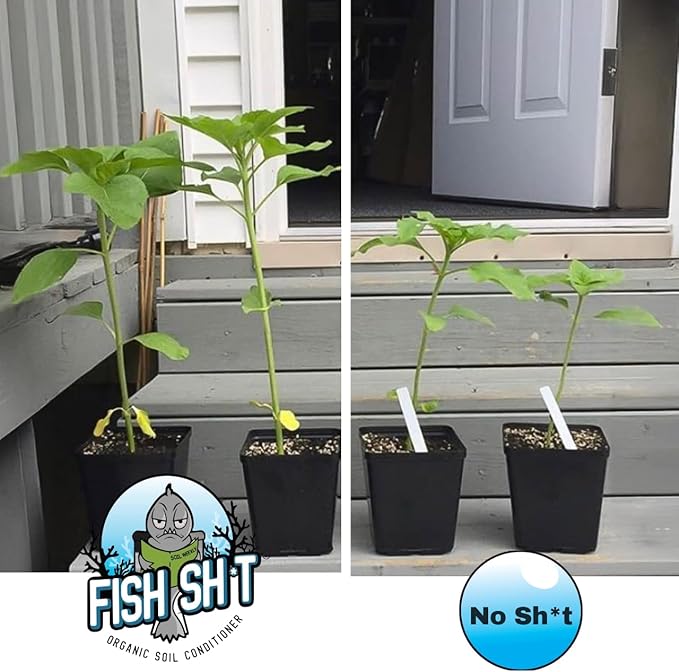 Fish Head Farms Organic Soil Conditioner for Yield and Flavor Enhancement. Improves Fertilizer Efficiency. Useful in Both Garden Soil and Hydroponics Applications. 250 mililiters