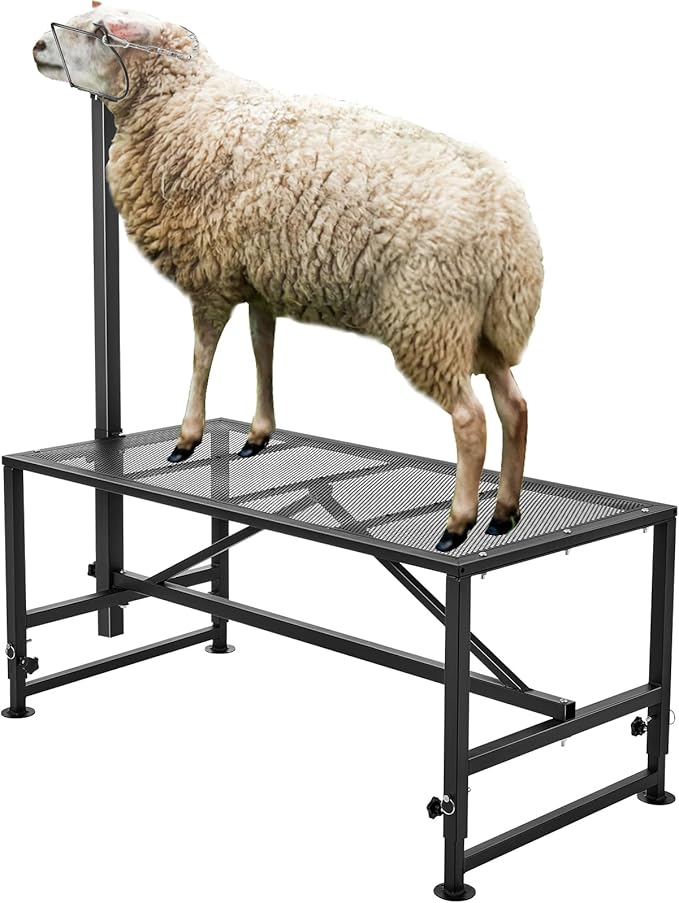 VEVOR Sturdy Sheep Stand - 51x23 inch Metal Livestock Trimming Stand, Adjustable Height 21" to 33", with Headpiece and Nose Loop, 500lbs Capacity, Ideal for Goats and Lambs, Black