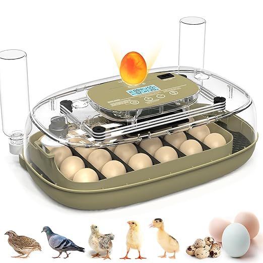 24 Egg Incubator with Automatic Turning, Temperature and Humidity Control, LED Egg Candler, and Auto Water Addition, for Hatching Chicken, Goose, Duck, Quail, Pigeon, and Turkey Eggs