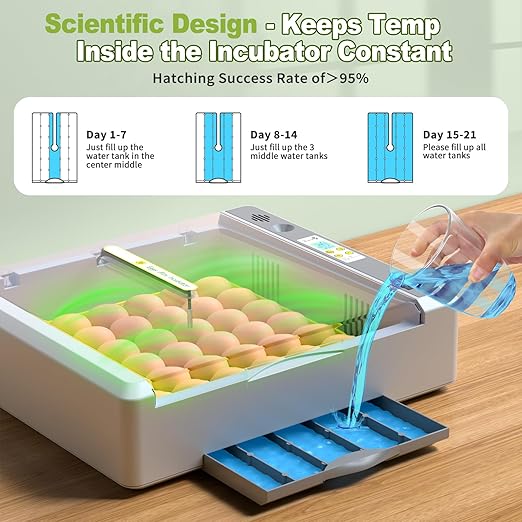 36 Eggs Incubator for Hatching Chicken/Goose/Quail/Duck/Turkey Eggs, 360° View Incubator with Automatic Egg Turning/Humidity Control/Low Humidity Alarm/Adjustable Tray, for Beginner/Farm/Teaching/Home
