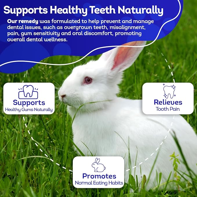 HA4E - Rabbit Dental Problems Treatment - Preventive Care for Dental Issues & Overgrown Teeth - Promotes Oral Health - Natural Homeopathic Formula - Pellets, Hutch Size (Extra Large)