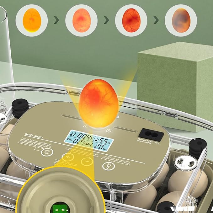 24 Egg Incubator for Hatching with Automatic Turner, Smart Temperature & Humidity Control, 360° Viewing, Egg Candler, Auto Water Refill, Ideal for Chicken, Duck, Farm or Home Use (24 Egg-Green)