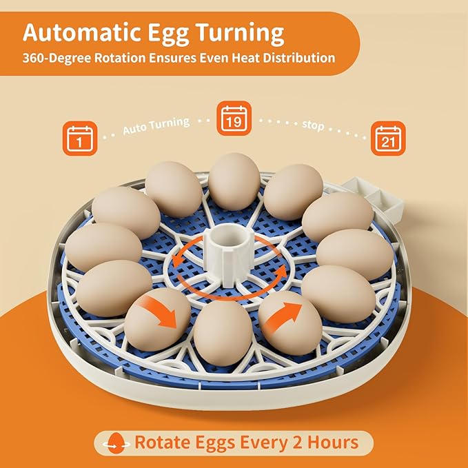 Egg Incubator, Temperature and Humidity Display, Automatic Egg Turning, Egg Candler, Incubators for Hatching Eggs, Auto External Water Bottle Refill, 12 Egg Incubator for Chicken Quail Duck Bird
