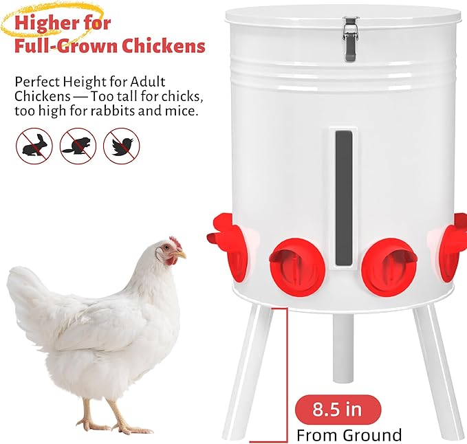 KOL 50 LB Large Free Standing Chicken Feeder, Portable Gravity Chicken Feeder Automatic, Dispenser, 8 Feeding Ports Poultry Feeder for Chicken Rooster & Hen (Jade White)
