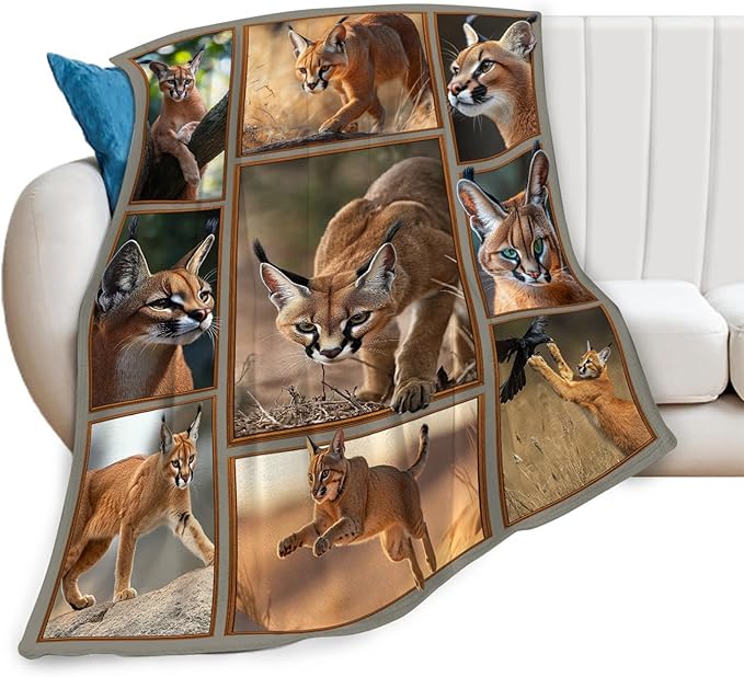 Caracal Blanket African Caracal Animal Lover Throw Blankets Gifts for Girls Boys Kids Soft Cozy Fleece Plush for Couch Sofa Bed 50"x40"