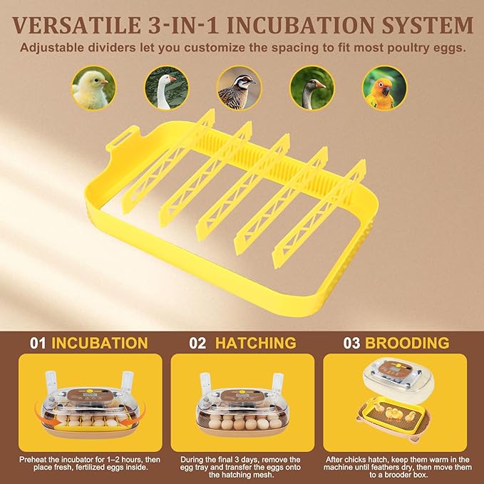 24 Egg Incubator for Hatching with Automatic Turner, Smart Temperature & Humidity Control, 360° Viewing, Egg Candler, Auto Water Refill, Ideal for Chicken, Duck, Quail, Goose-Brown (24 Egg-Brown)