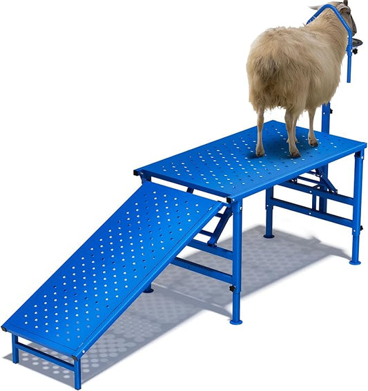 Professional Goat Milking and Trimming Stand with Ramp, Sheep and Goat Grooming Platform, Livestock Care Equipment (Blue with Ramp)