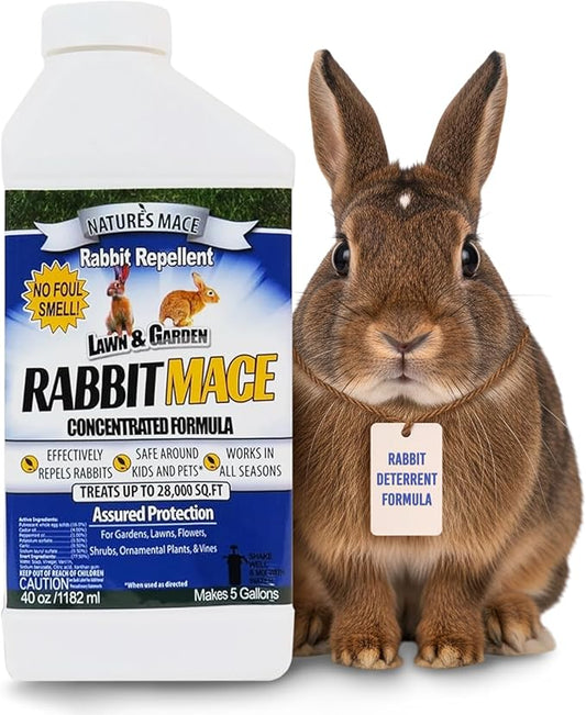 Nature’s Mace Rabbit MACE, Deterrent for Yard, Rabbit Repellent Outdoor, Mint Rabbit Spray, Garden, Lawn, Keep Rabbits Out, 40oz Concentrate, Covers 28,000 Sq Ft, Safe Around People, Pets, Plants