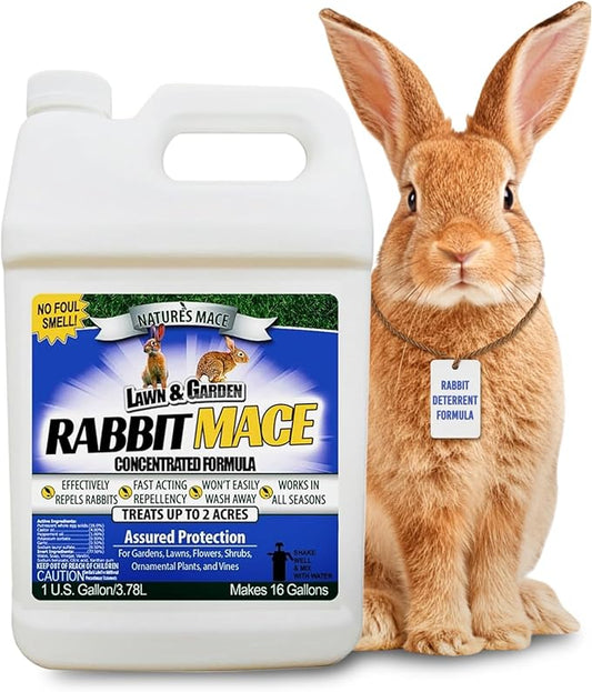 Nature’s MACE Rabbit Mace, Rabbit Repellent for Outdoors, 1 Gallon Concentrate, Covers 2 Acres, Rabbit Deterrent Spray for Lawn, Yard, Garden, Landscape, Safe to Use Around People, Pets, & Plants