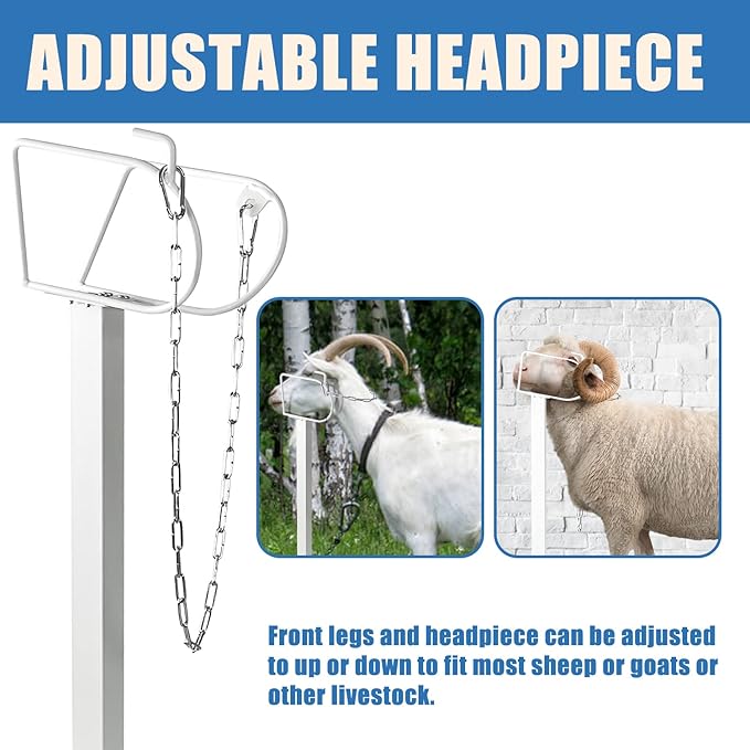Goat Milking Stand Goat Stand Sheep Stand for Trimming Metal Livestock Stand with Adjustable Headpiece Goat Shearing Livestock Stand Height Adjustable, White