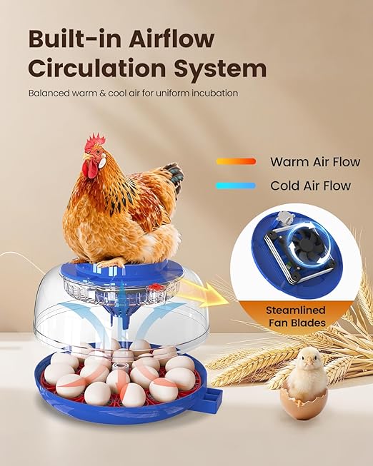 Incubators for Hatching Eggs, 18 Eggs Incubators with Egg Candler, Automatic Egg Turner, Temperature & Humidity Control, Full Viewing for Chicken, Duck, Quail, Goose, Parrot and Pigeon