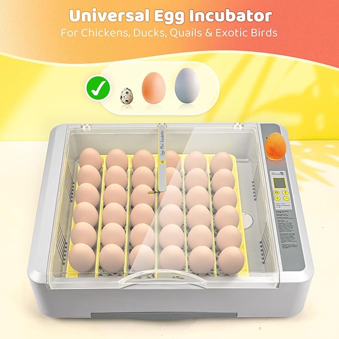 36 Eggs Incubator for Hatching Chicks with Automatic Turner Temperature & Humidity Control, Multifunctional Ultra-Clear Panoramic View with Hatch Days & Egg Candler for Chicken, Duck, Goose, Bird