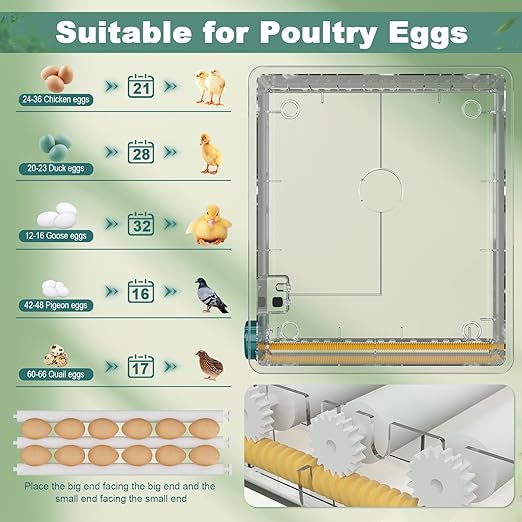 36 Eggs Incubators for Hatching eggs,Chicken Eggs Incubator with Automatic Egg Turning and Humidity Monitoring,Automatic Temperature Control Egg Incubator with Egg Candle for Chicken Duck Goose Pigeon