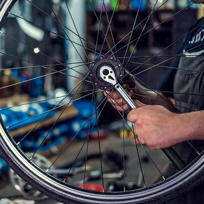 3/8-Inch Drive Click Torque Wrench Dual-Direction Adjustable Torque Wrench Set with Storage Case (10-45 ft.-lb./13.5-61 Nm)