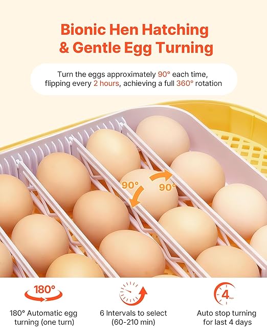 VEVOR 24 Egg Incubator, Automatic Egg Turner with LED Candler, Temperature & Humidity Control, 360° View Clear Window, Auto Water Refill, Poultry Eggs Incubators for Hatching Chicks Ducks Goose Quail