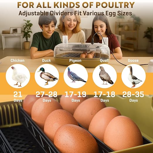 Egg Incubator For Hatching - 24-48 Eggs Capacity - Automatic Egg Turner & Adjustable Timer - Humidity & Temperature Control - High Efficiency Poultry Hatcher for Chicken, Duck, Quail, Bird