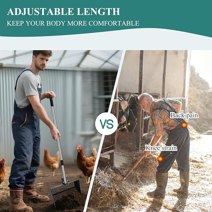 Chicken Poop Scooper and Rake 2-in-1 12” Wide Metal Coop Scoop for Sand Sifting Shovel with 22" to 62” Adjustable Stainless Steel Handle Cleaning Tools for Chicken Coops & Farm Animals Scoop
