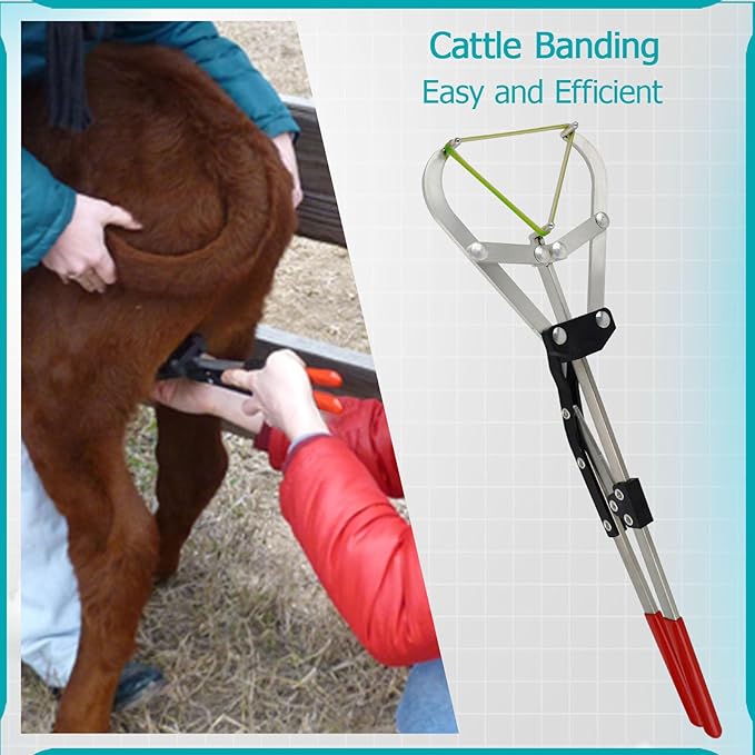 Cattle Banding Tool, Expander Plier with 24Pcs Rings, for Calves Sheep Goats Big Animal Livestock in Farm and Ranch