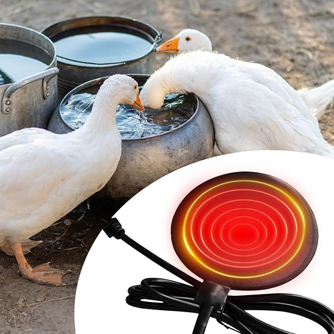 Chicken Water Heater, Weather-Resistant, 1piece, Poultry Water Warmer, Coop Freeze Proof Heater, Easy Setup, for Winter Poultry Farming Livestock Farm Outdoor