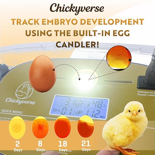 Egg Incubator For Hatching - 24-48 Eggs Capacity - Automatic Egg Turner & Adjustable Timer - Humidity & Temperature Control - High Efficiency Poultry Hatcher for Chicken, Duck, Quail, Bird
