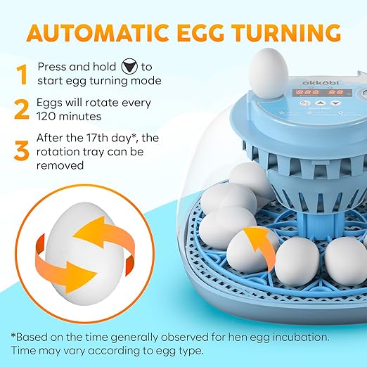 12 Egg Incubator with Automatic Egg Turning and Humidity Control – Egg Incubators for Hatching Eggs – Egg Candler, Water Bottle Refill, Air Vent, 360° View – Incubadora de Huevos de Gallina