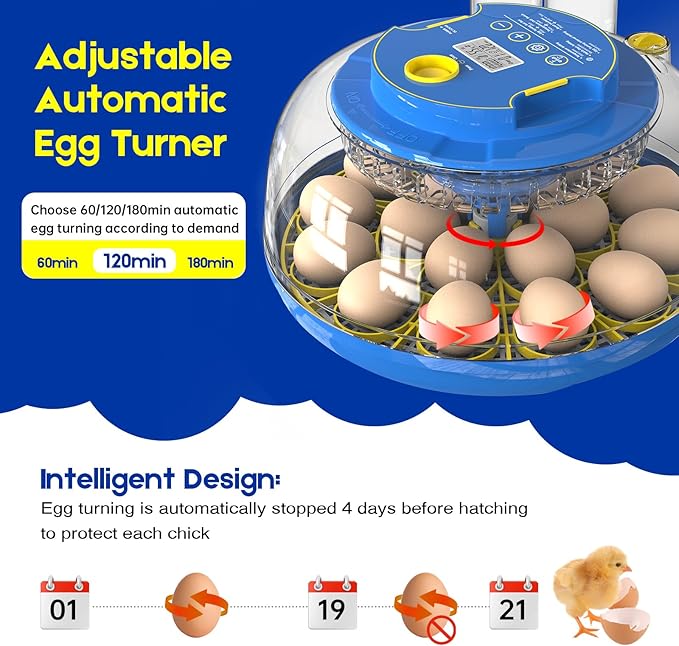 Egg Incubator for Hatching Chicks, 18 Eggs Automatic Egg Turner Multifunctional Smart Incubator 360° Clear Window with Temperature & Humidity Control, Egg Candler for Poultry Chickens Ducks Quails