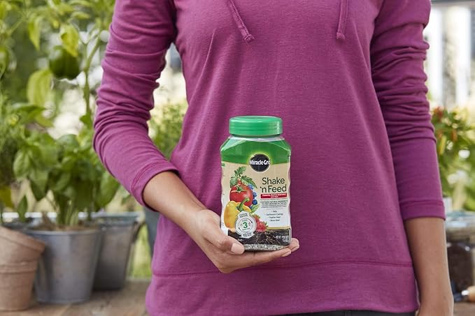 Miracle-Gro Shake 'N Feed Tomato, Fruit & Vegetable Plant Food, Plant Fertilizer, 1 lb. (6-Pack)