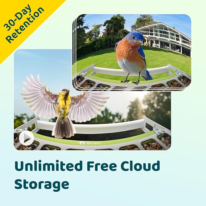 Birdfy Smart Bird Feeder with Camera, Durable Metal Bird Feeders for Outdoors, Auto-Detect & Record HD Videos, Instant Alerts & Live View, Solar Powered, Weatherproof for Backyard, Ideal Gift for Mom