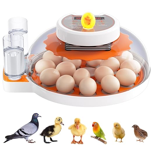 Incubators for Hatching Eggs - 18 Egg Capacity，Automatic Egg Turner，360° Viewing，Temperature & Humidity Control，Dual Size Egg Trays for Chicken, Duck, Goose, Turkey, Quail, and Parrot Eggs
