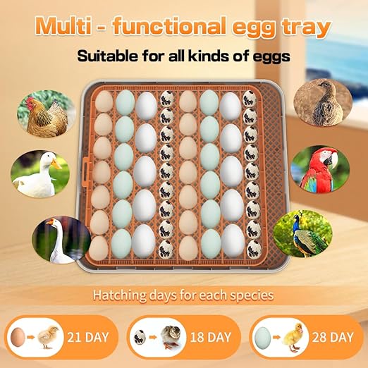 HOWOOlUA 56 Egg Incubator for Hatching Eggs with Auto Turn, Temp & Humidity Control, Built-in Candler Large Capacity Egg Incubator for Chicken Duck Goose Eggs