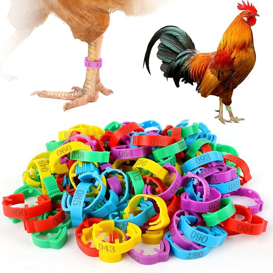 100 Pcs Adjustable Chicken Leg Rings, Multicolor Numbered Chicken Identification Leg Bands, Durable Poultry Leg Bands for Chickens Turkey Goose Ducks