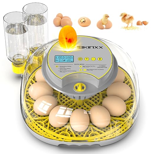 Incubator for Hatching Eggs-12 Egg Capacity, Automatic Egg Turner, Temperature & Humidity Control, 360° Viewing for Chicken, Duck and Quail Eggs