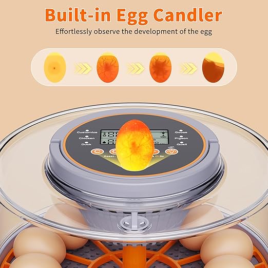 Egg Incubators for Hatching Eggs with Automatic Egg Turning and Humidity Control Intelligent Temp Eggs Candler for Chicken Quail Duck etc. Eggs, Suit for Beginner Backyard Hobbyist Students Education